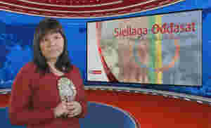 Siellaga-Ođđasat
