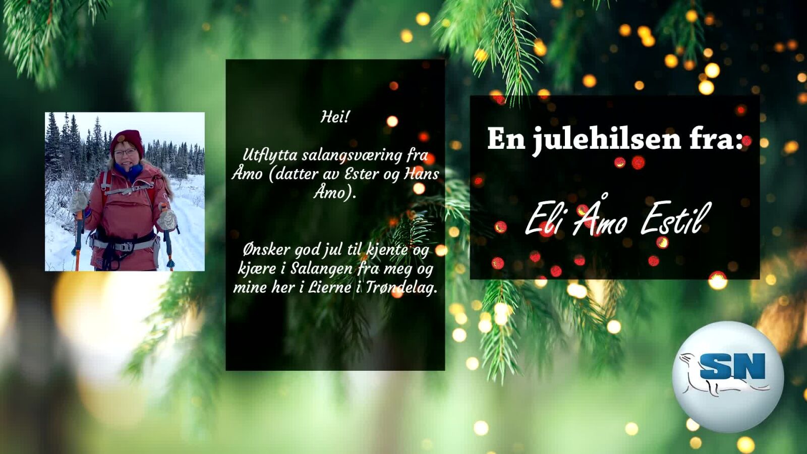 SalangenNyheter