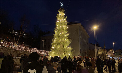 Julegrana er endelig tent !