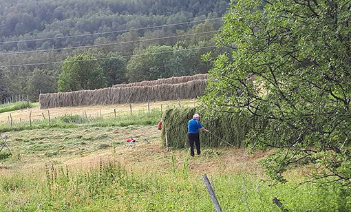 Varme dager i slåtten