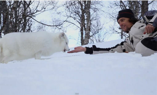 Den italienske programlederen, Luca i programmet "Planet Explorer" fikk oppleve dyrene på nært hold i Polar Park. FOTO: SCREENSHOT