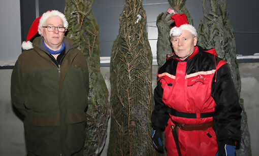 Bjørn Utmo (t.v.) og Dag-Roar Eriksen solgte juletre på Sjøvegan i helga. FOTO: JON HENRIK LARSEN