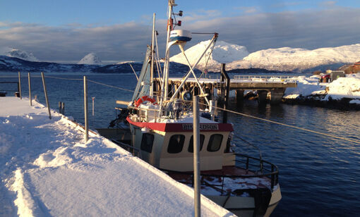 Fiskebåt på besøk