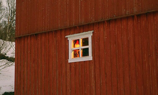 Nissen i låven titter ut vinduet og ser frem til en ny julefeiring om ca. 14 dager dager her på Sjøvegan.
 Foto: Jon Henrik Larsen