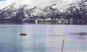 Hentet fôrslange i fjæra