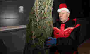 - Flere henter julegran selv