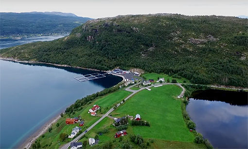 Dronefilmen ble tatt over Rotvika 27. august 2017. FOTO: RUNE ALERTSEN