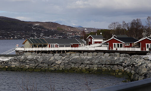 - Det er vår i luften