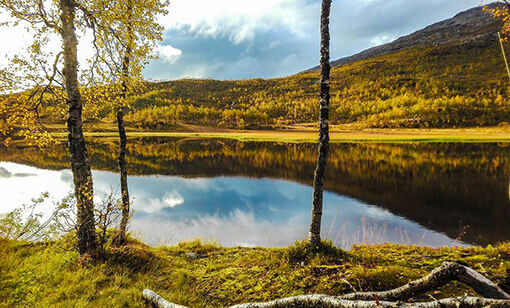 Ingen grunn å sitte inne