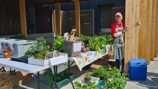 Hagelaget med plantemarked