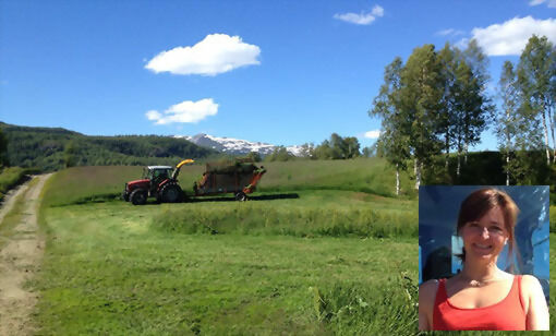 Bonde Hilde Anita Nyland er ferdig med første omgang av slåttarbeidet på gården i Øvre Salangen.