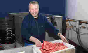 Nydelige ferske reker