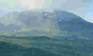 Melisdryss på fjellet