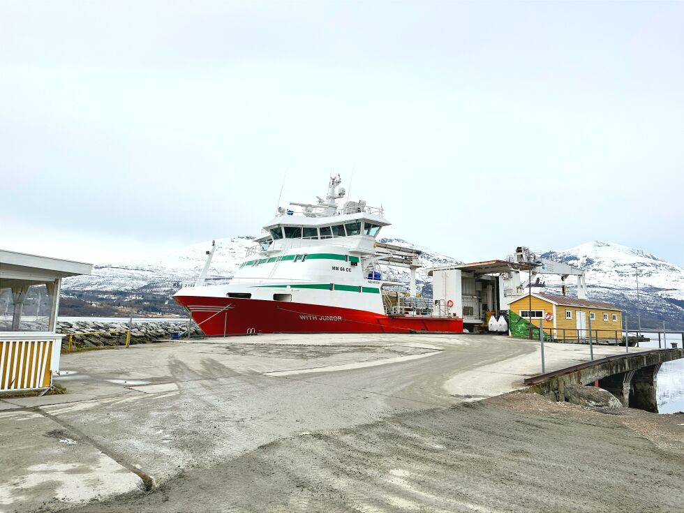 Det er ikke hverdagskost at det er båtanløp til Sjøvegan. Men desto større glede er det når båtene kommer.
 Foto: Jon Henrik Larsen