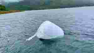 Høyballen som seilte over Sagfjorden