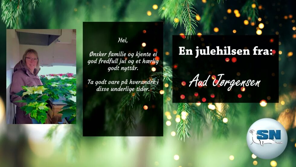 Salangen-Nyheter's Julekalender 2023
