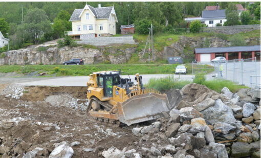 Flere fluer i en smekk