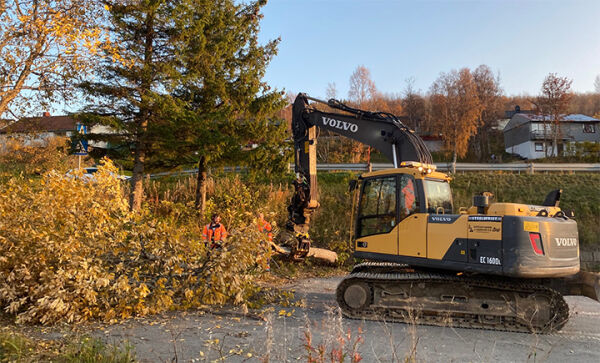 Ryddet i veikrysset
