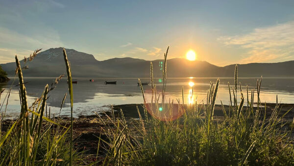 Drømme- midtsommervær!