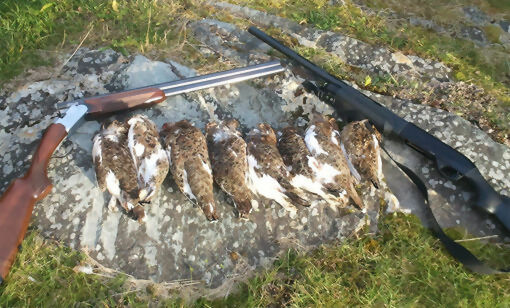 Årets rypejakt er i gang i vårt område. Mange har valgt å være ute i naturen i helga.