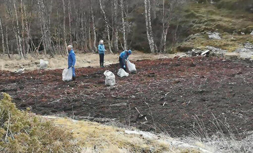 Ryddet i skjærgården
