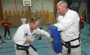 Taekwondo i skoletime