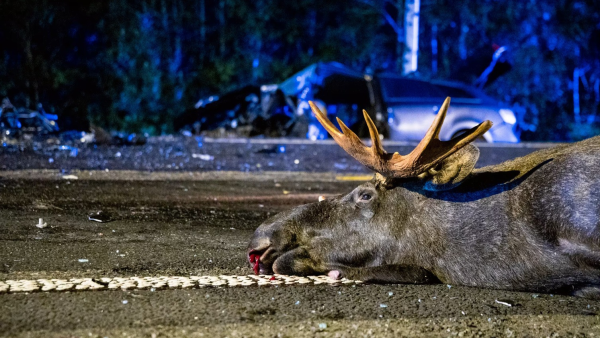 Nå går vi inn i den mørke, skumle tiden