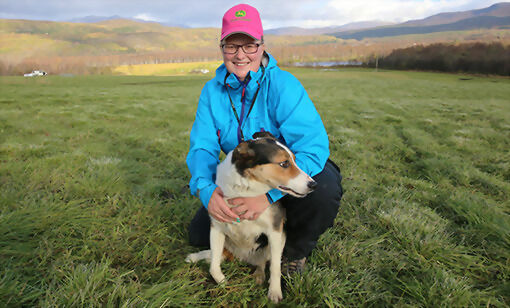 Ellen Johnsen fra Spansdalen ble nordnorsk mester i bruk av gjeterhund i helga. Her i lag med hunden "Easy". FOTO: JON HENRIK LARSEN