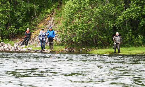 Idyllisk åpning i elva