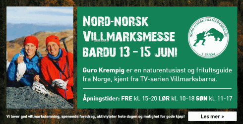Annonse