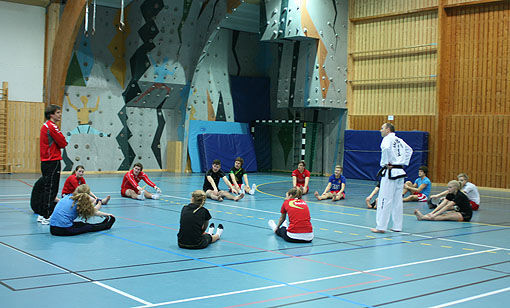 Elevene ved toppidrettsfag på Sjøvegan videregående skole på trening med Cato Sørensen fra Setermoen taekwondoklubb. FOTO: GRY MALIN MYRLAND