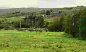 Troms Kraft rydder skog