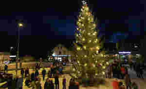 Tente julegrana