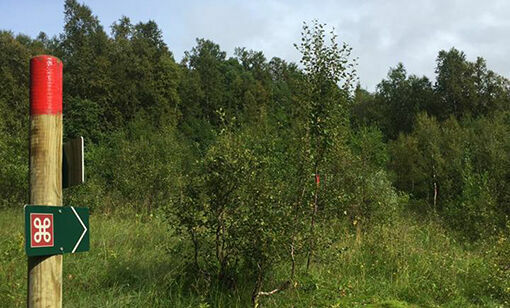Følger i soldatenes spor