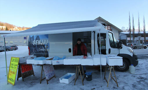 Fiskebilen til Senjafisk var en av to fiskebiler som sto på Sjøvegan på fredag. FOTO: KNUT-ARILD JOHANSEN.
