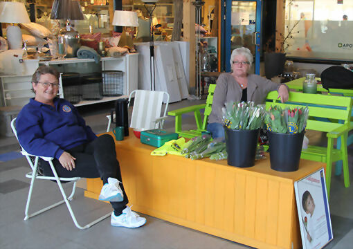 Synnøve Steinland og Anne Larsen fra Lions Club Dyrøy, var fredag på Sjøvegan for å selge tulipaner, pengene går til en aksjon mot mobbing. FOTO: KNUT-ARILD JOHANSEN.