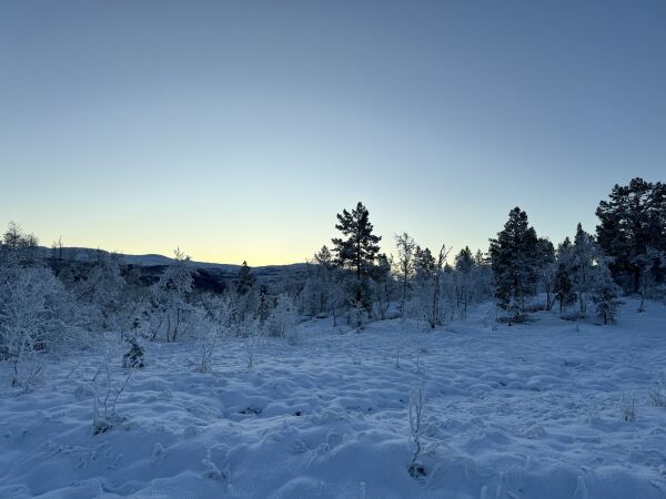 Bare å forberede seg: Nå blir det mer snø og kaldt!, image size:600x450