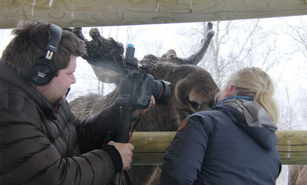 Livestreamet fra Polar Park