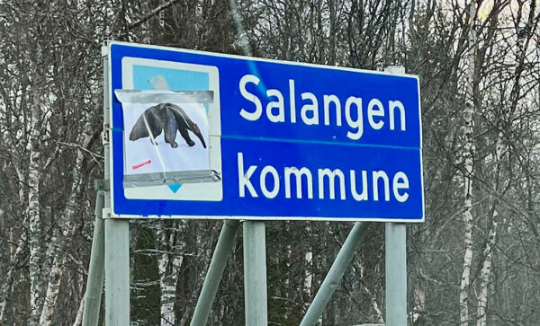 Er dette en russestrek eller pøbelstrek?