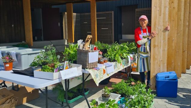 Hagelaget med plantemarked