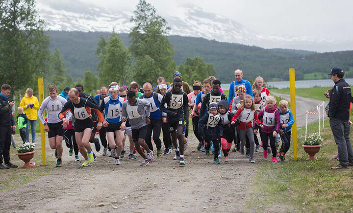 Onsdag kveld er det klart for maraton-løp fra Sjøvegan til Skårvika og tilbake til Sjøvegan igjen. Dette som en del av SIF/ØSIL sin løpskarusell.
 Foto: Inger Kristin Hognestad