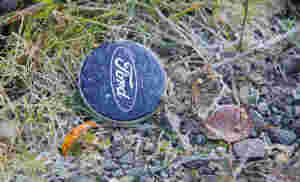 Ford(t) i svingene