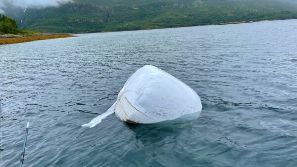 Høyballen som seilte over Sagfjorden