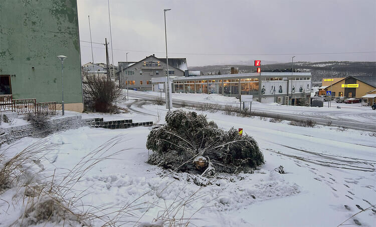Juletreet som sto på torget på Sjøvegan ble søndag kveld/natt revet over ende av den sterke vinden. FOTO: JON HENRIK LARSEN