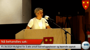 Dette bestemte de folkevalgte