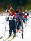 SIF Ski med egne nettsider