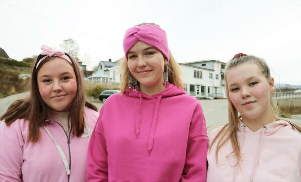 Elever markerte brystkreftsaken