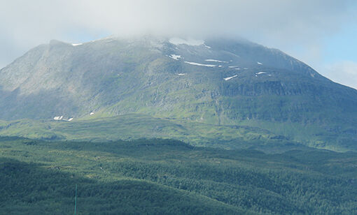 Melisdryss på fjellet