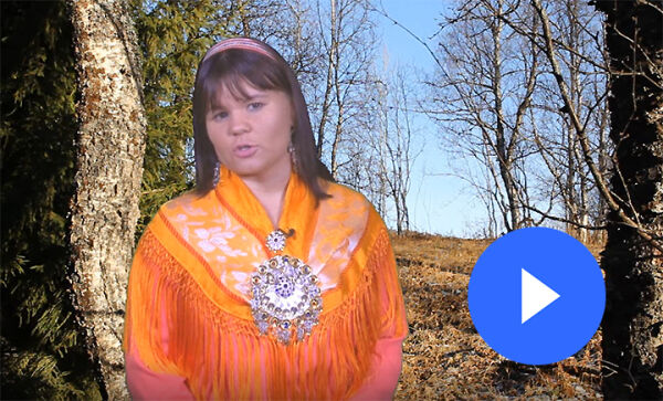Hva betyr Stuorjeggie?