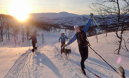 Midt-Troms Friluftsråd jobber mye med å få folk ut i naturen. FOTO: MIDT-TROMS FRILUFTSRÅD